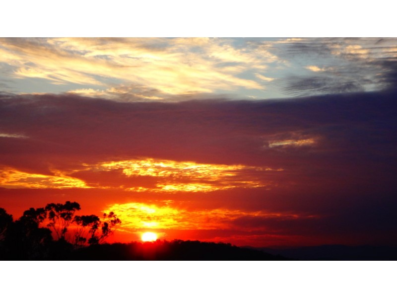 Tamborine Mountain QLD 4272