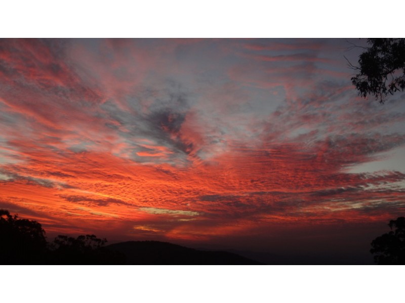 Tamborine Mountain QLD 4272