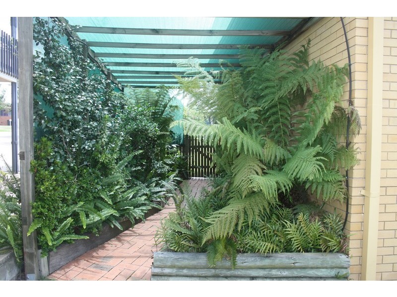 40 Lewin St, Inverell NSW 2360