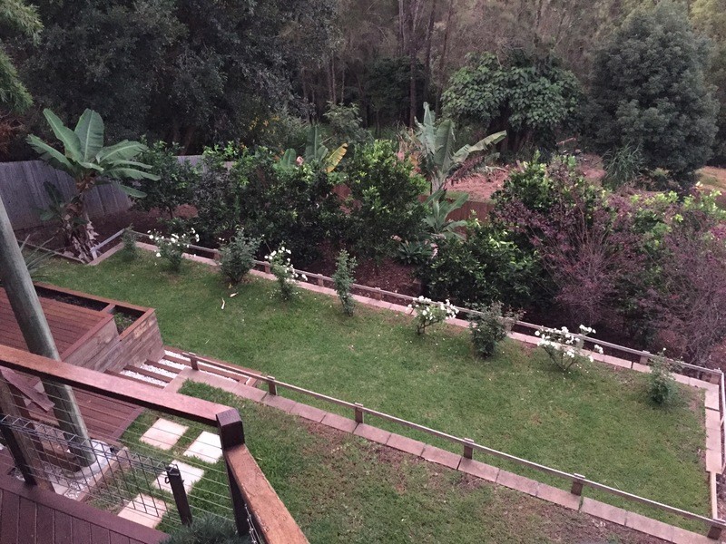 50 Lakeview Terrace, Bilambil Heights NSW 2486