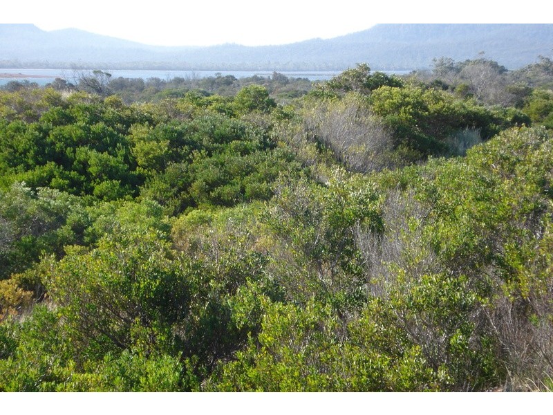 8 Yellow Sand Banks Rd, Dolphin Sands TAS 7190