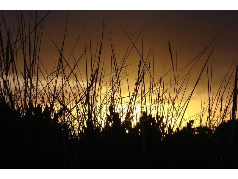 8 Yellow Sand Banks Rd, Dolphin Sands TAS 7190