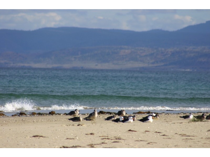 8 Yellow Sand Banks Rd, Dolphin Sands TAS 7190