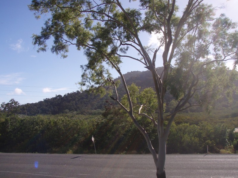 2 Cedar Crescent, Jubilee Pocket QLD 4802