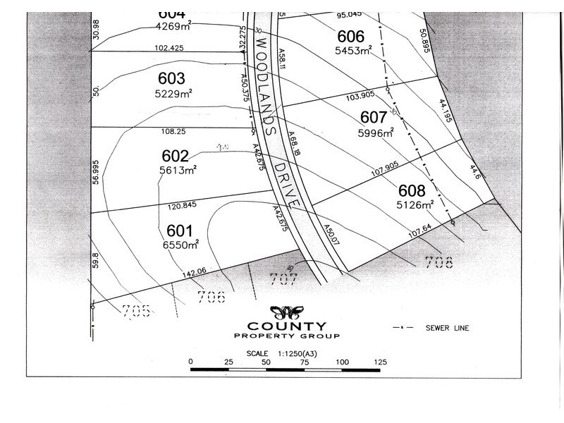 20 Woodlands Drive, Thornton NSW 2322