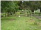 11 acres at 16 Martins Rd, Willung South VIC 3847