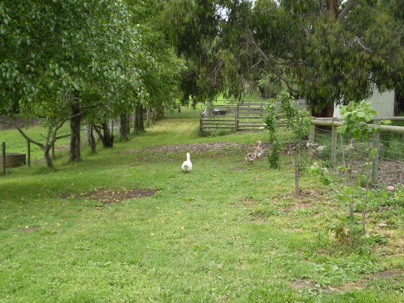 11 acres at 16 Martins Rd, Willung South VIC 3847