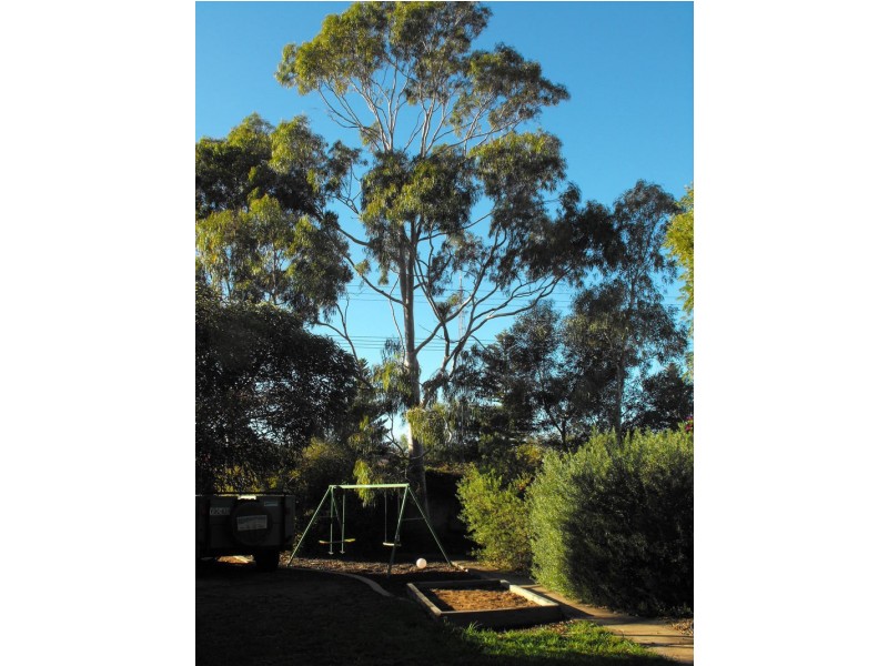 104 Wileman Street, Whyalla SA 5600