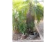 104 Wileman Street, Whyalla SA 5600