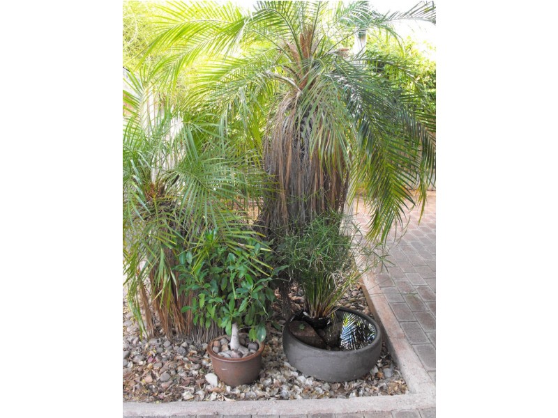 104 Wileman Street, Whyalla SA 5600
