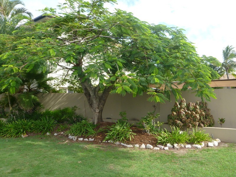 2346  Gold Coast Highway, Mermaid Beach QLD 4218