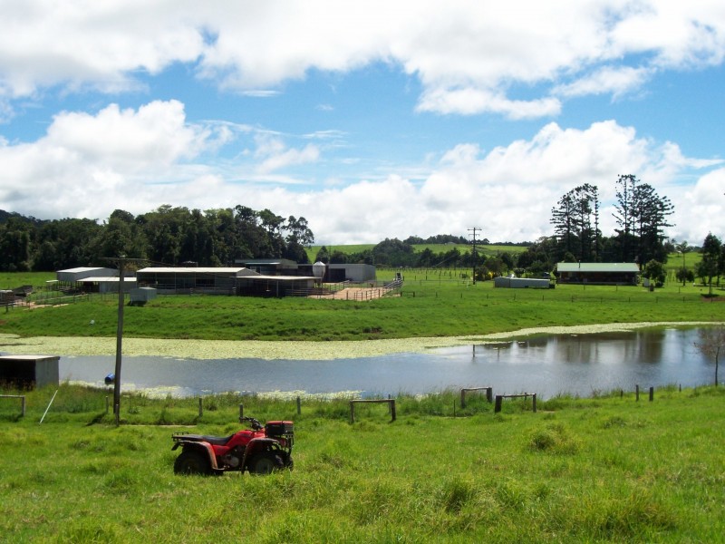 673 EAST EVELYN ROAD, Ravenshoe QLD 4888