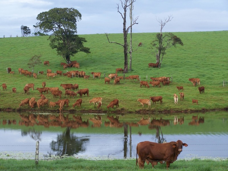 673 EAST EVELYN ROAD, Ravenshoe QLD 4888