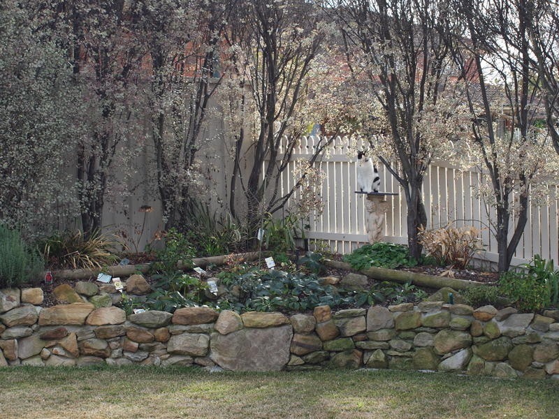19 Lamarra Place, Goulburn NSW 2580
