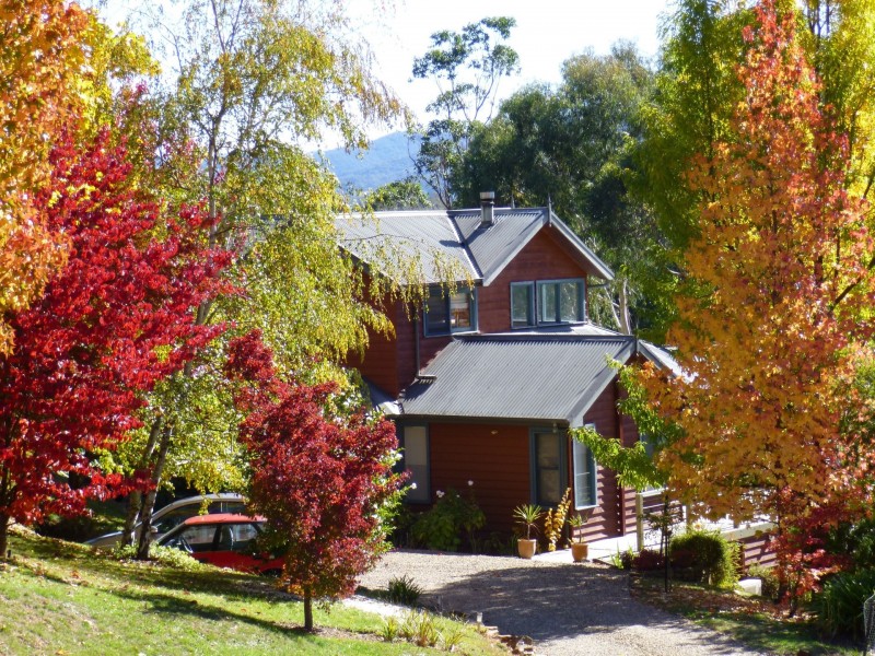 4 Cindy Court, Bright VIC 3741