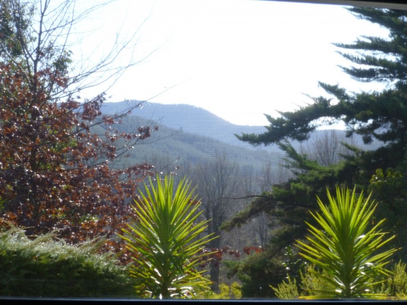 4 Cindy Court, Bright VIC 3741