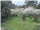 Reids Flat NSW 2586