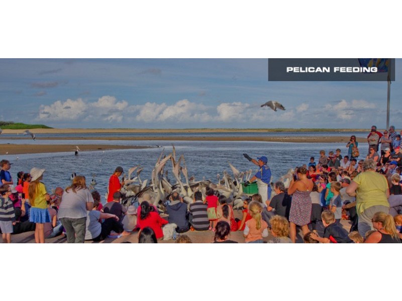 123/89-95 The Entrance Road, The Entrance NSW 2261