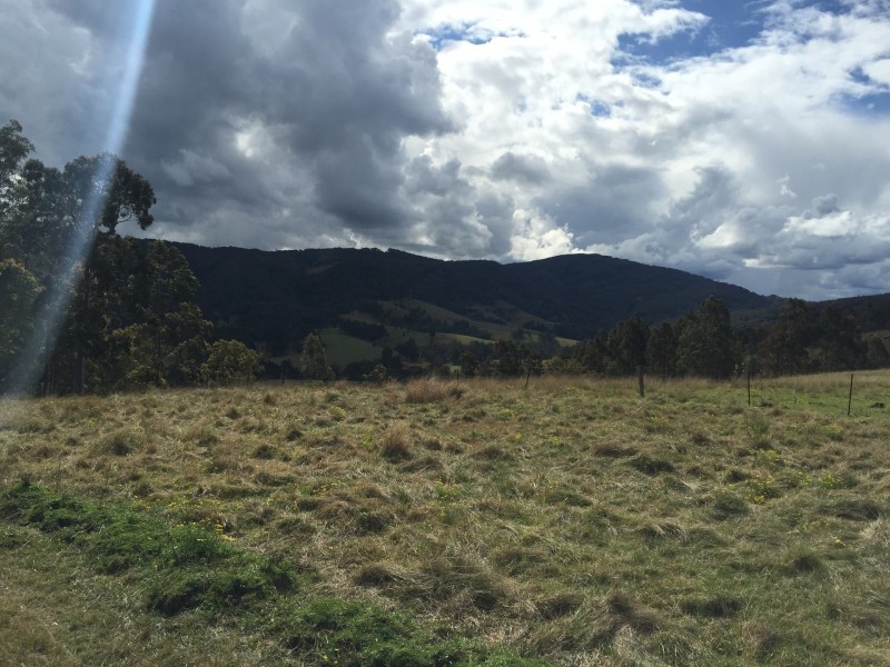 Lambs Valley NSW 2335