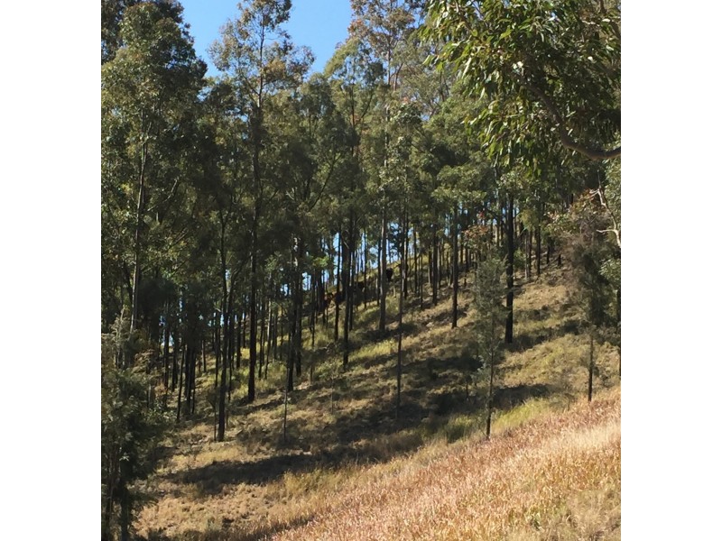 Lambs Valley NSW 2335