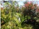 1/21 Tewantin Road, Cooroy QLD 4563