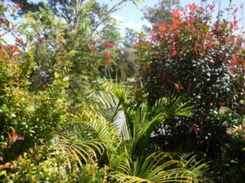 1/21 Tewantin Road, Cooroy QLD 4563