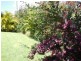 1/21 Tewantin Road, Cooroy QLD 4563