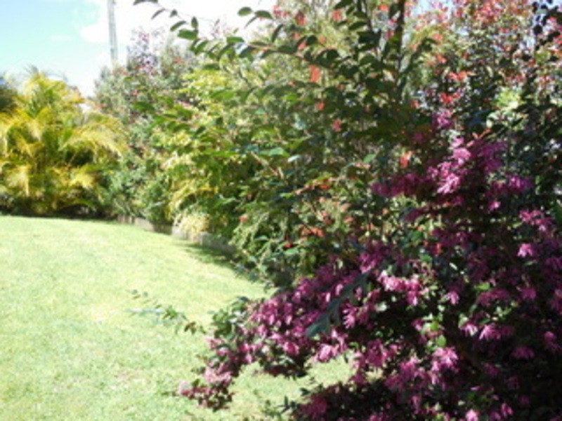 1/21 Tewantin Road, Cooroy QLD 4563