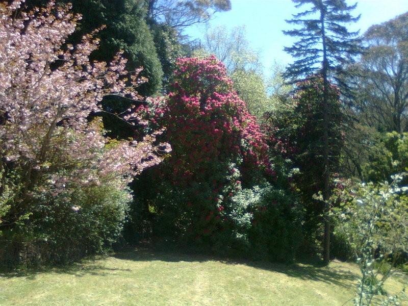 6 Churchill St, Leura NSW 2780