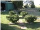 8 Delacombe Way, Willaura VIC 3379