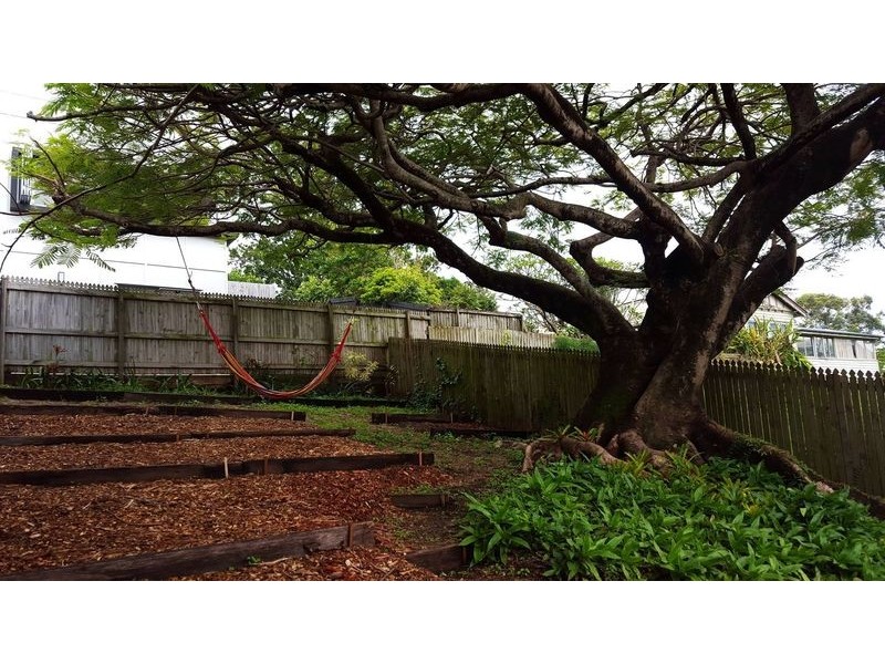 234 Boundary Road, Bardon QLD 4065