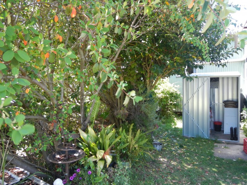 48 Rayleigh Street, Wallangarra QLD 4383