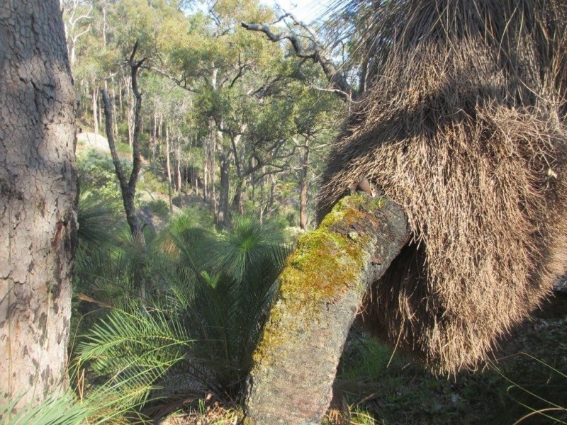 847 Nanga Brook Road, Waroona WA 6215