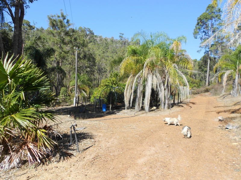 847 Nanga Brook Road, Waroona WA 6215