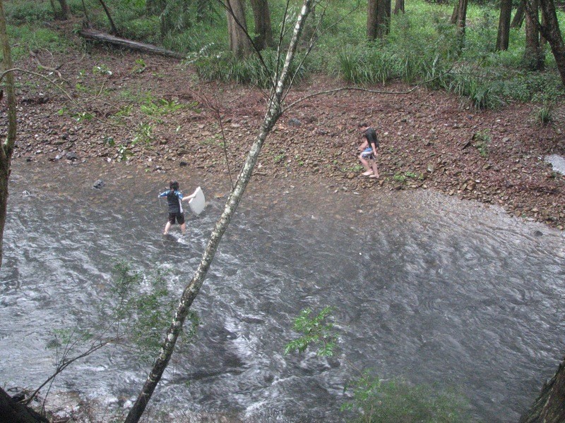 44 Upper Crystal Creek Road, Crystal Creek NSW 2484