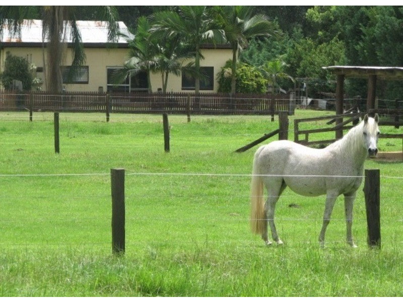 44 Upper Crystal Creek Road, Crystal Creek NSW 2484