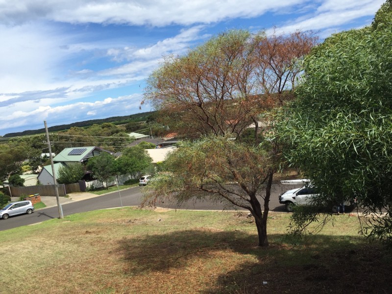 60 Endeavour Drive, Ocean Grove VIC 3226