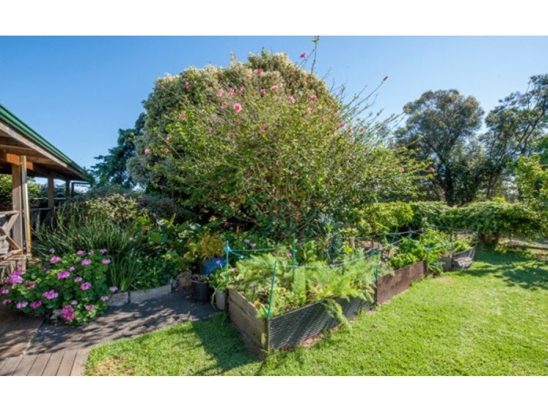 53 WIDDESON ROAD, Capel WA 6271