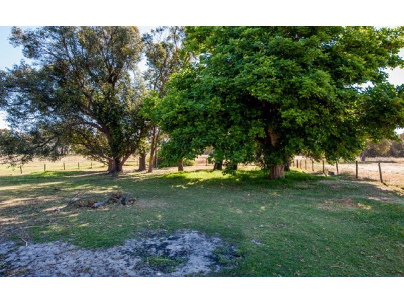 53 WIDDESON ROAD, Capel WA 6271