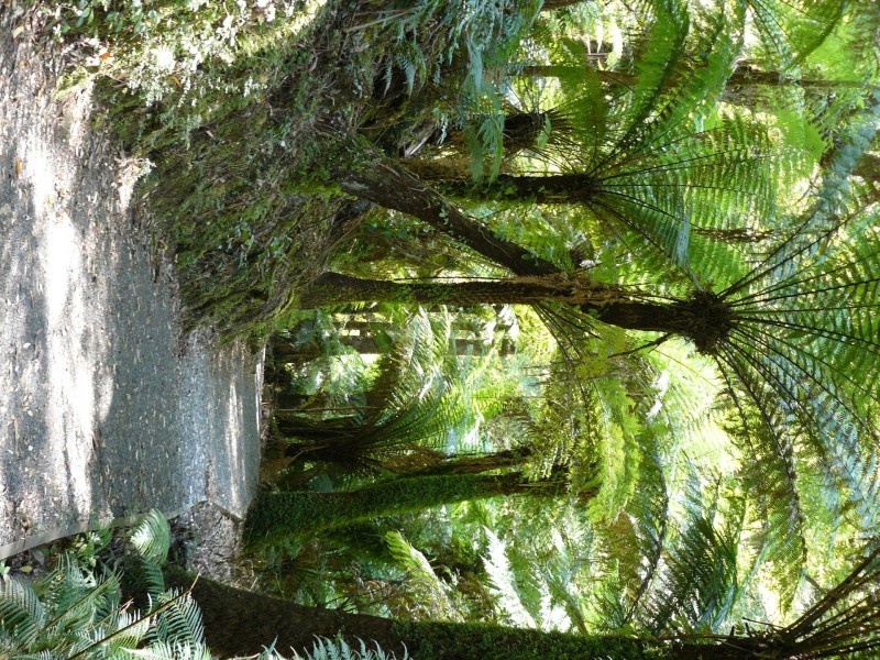 Tarra Valley VIC 3971