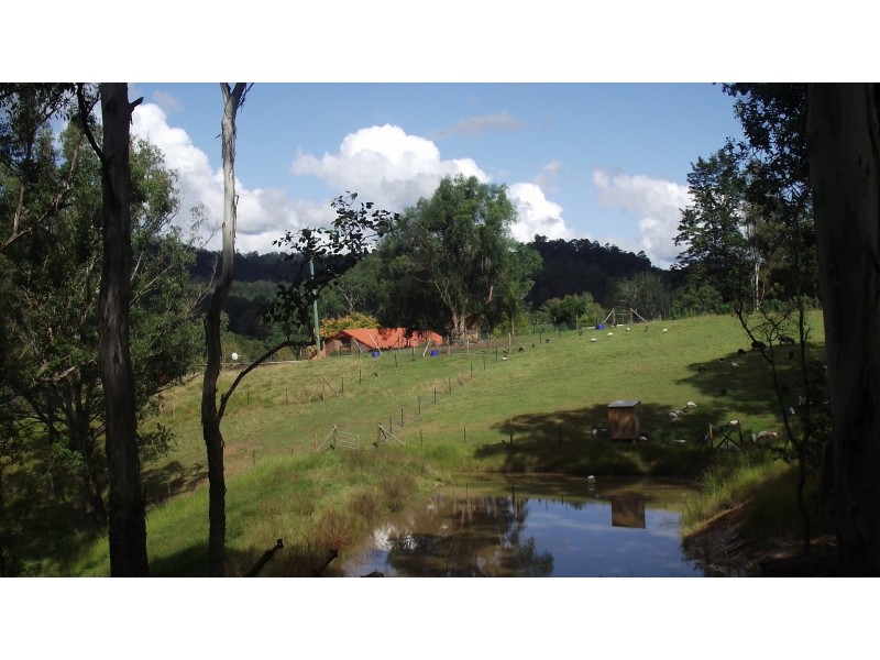 21 Capeen Creek Road, Capeen Creek NSW 2469