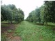 830 Anzac Parade/ Road, Middle Point NT 0822