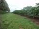 830 Anzac Parade/ Road, Middle Point NT 0822