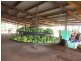 830 Anzac Parade/ Road, Middle Point NT 0822