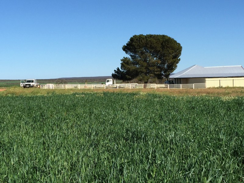 20271 LINCOLN HIGHWAY, Midgee SA 5602