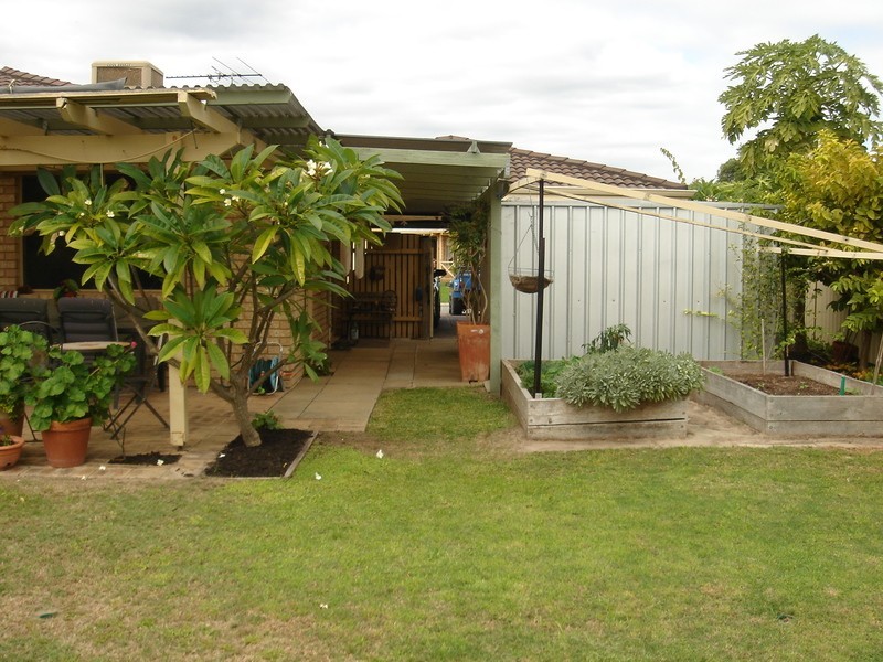 10 Adroit Court, Rockingham WA 6168