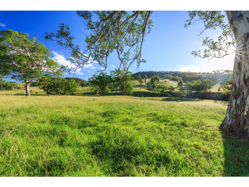 228 Cranky Corner Road, North End, Branxton NSW 2335