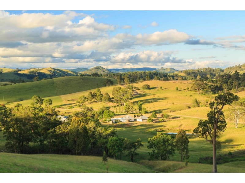 228 Cranky Corner Road, North End, Branxton NSW 2335