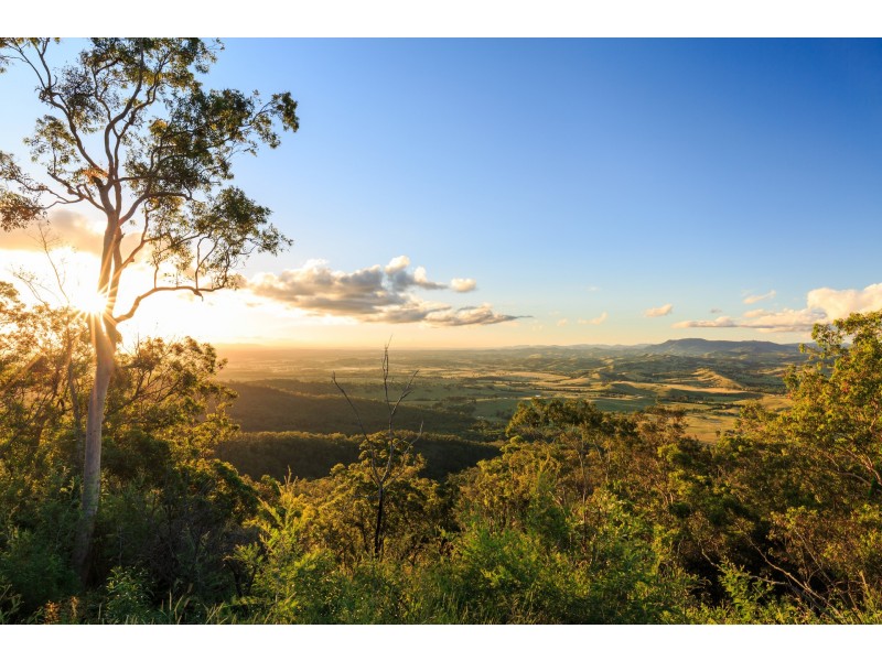 228 Cranky Corner Road, North End, Branxton NSW 2335