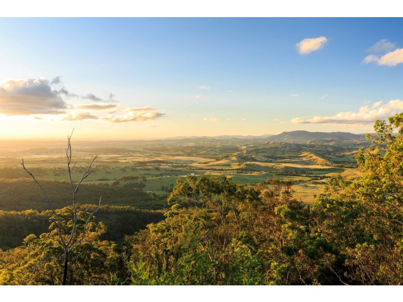 228 Cranky Corner Road, North End, Branxton NSW 2335